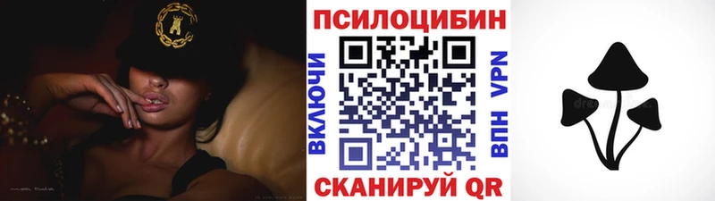 купить наркоту  Енисейск  Псилоцибиновые грибы Magic Shrooms 
