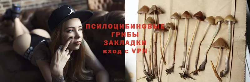 Псилоцибиновые грибы Magic Shrooms  blacksprut как войти  Енисейск  наркошоп 